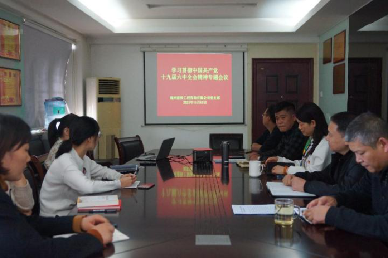 咨詢(xún)黨支部召開(kāi)學(xué)習貫徹中國共產(chǎn)黨十九屆六中全會(huì )精神專(zhuān)題會(huì )議