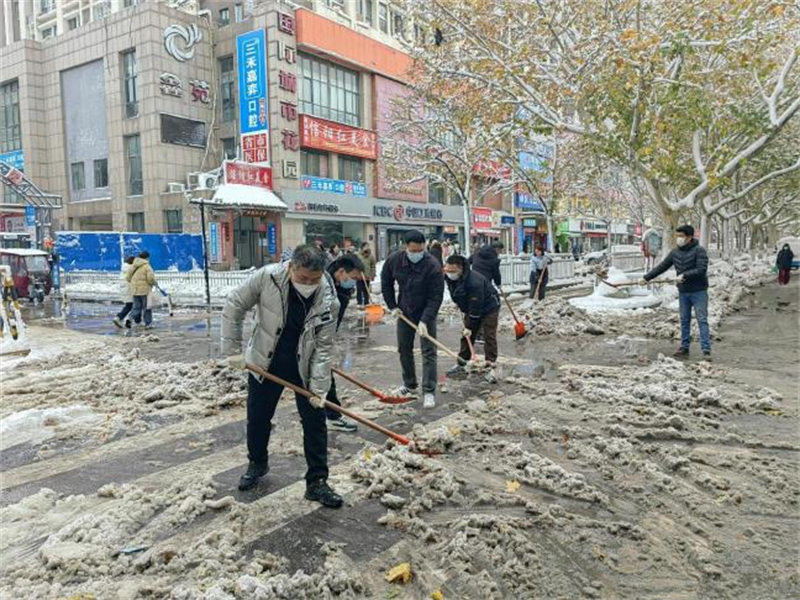 咨詢(xún)黨支部應對低溫雨雪冰凍災害到屬地社區開(kāi)展“雙報到”志愿除雪行動(dòng)